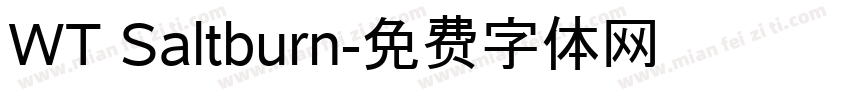 WT Saltburn字体转换